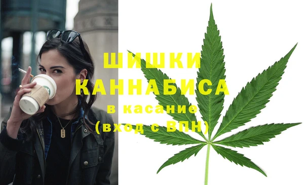 гашик Бабаево