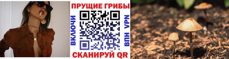 Псилоцибиновые грибы мухоморы Кинешма