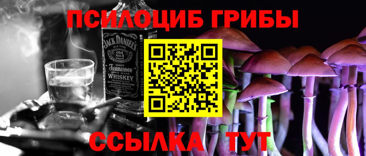 Галлюциногенные грибы ЛСД  Вход с VPN  Кинешма  Галлюциногенные грибы Magic Shrooms 