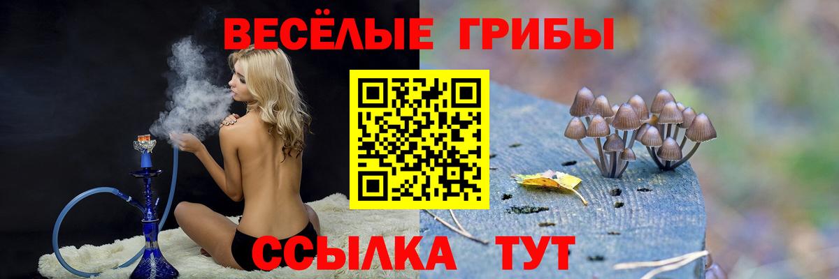 Галлюциногенные грибы ЛСД Кинешма