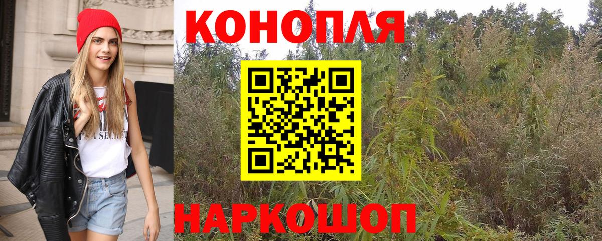 Канабис семена Кинешма